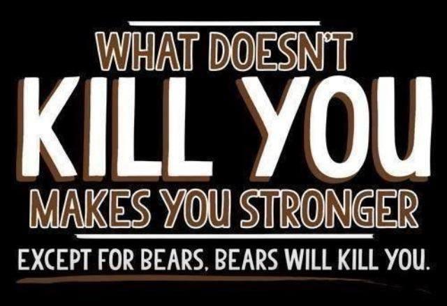 Bears will kill you