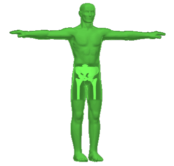 Cool Body Scan